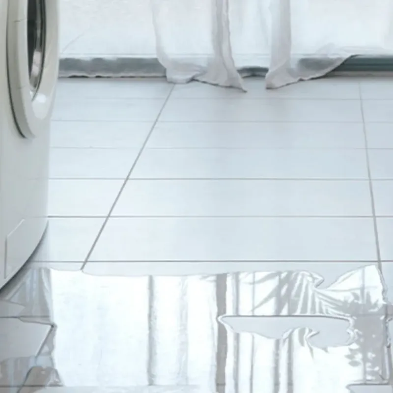 Appliance Leak Cleanup in Buena Vista, VA