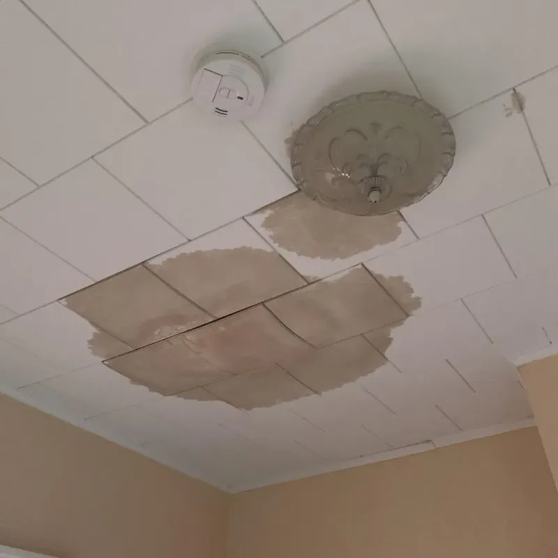 Ceiling Water Damage Repair in Buena Vista, VA