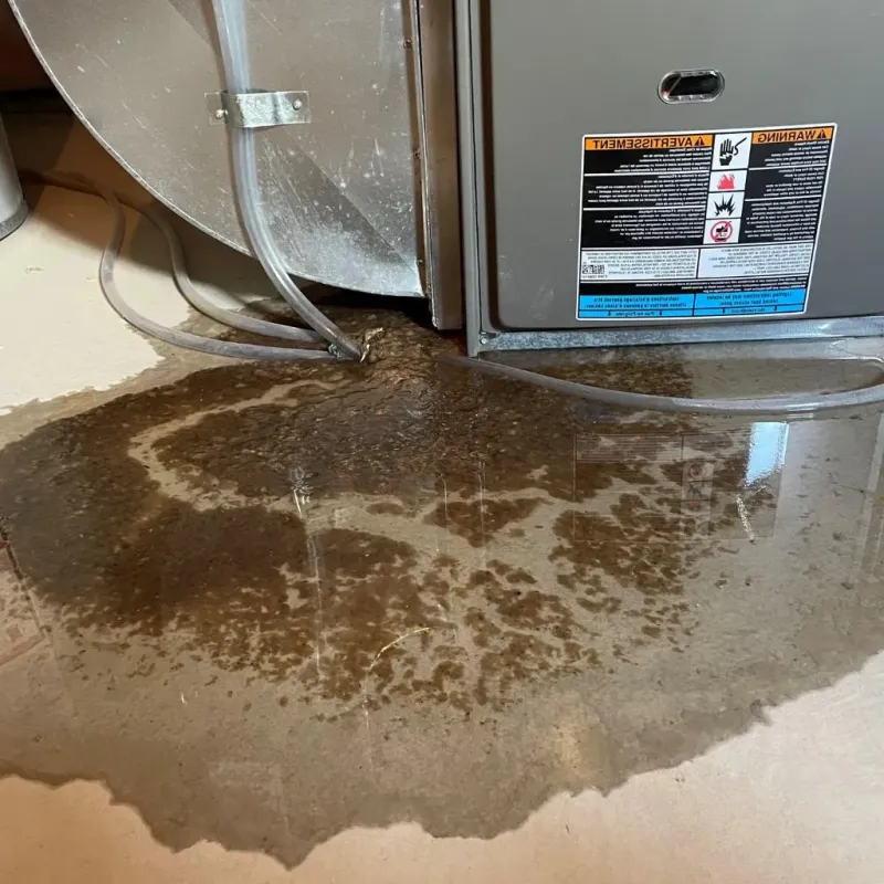 Pipe Burst and Leak Restoration in Buena Vista, VA