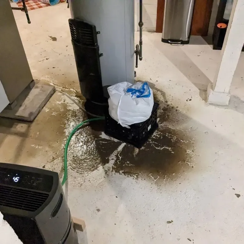 Sewage Backup Cleanup Service in Buena Vista, VA